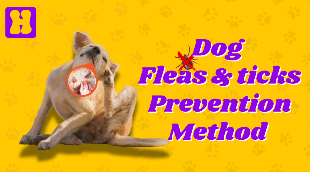 Picture of Flea and Tick Prevention for dogs - Hugsy Pets Nepal