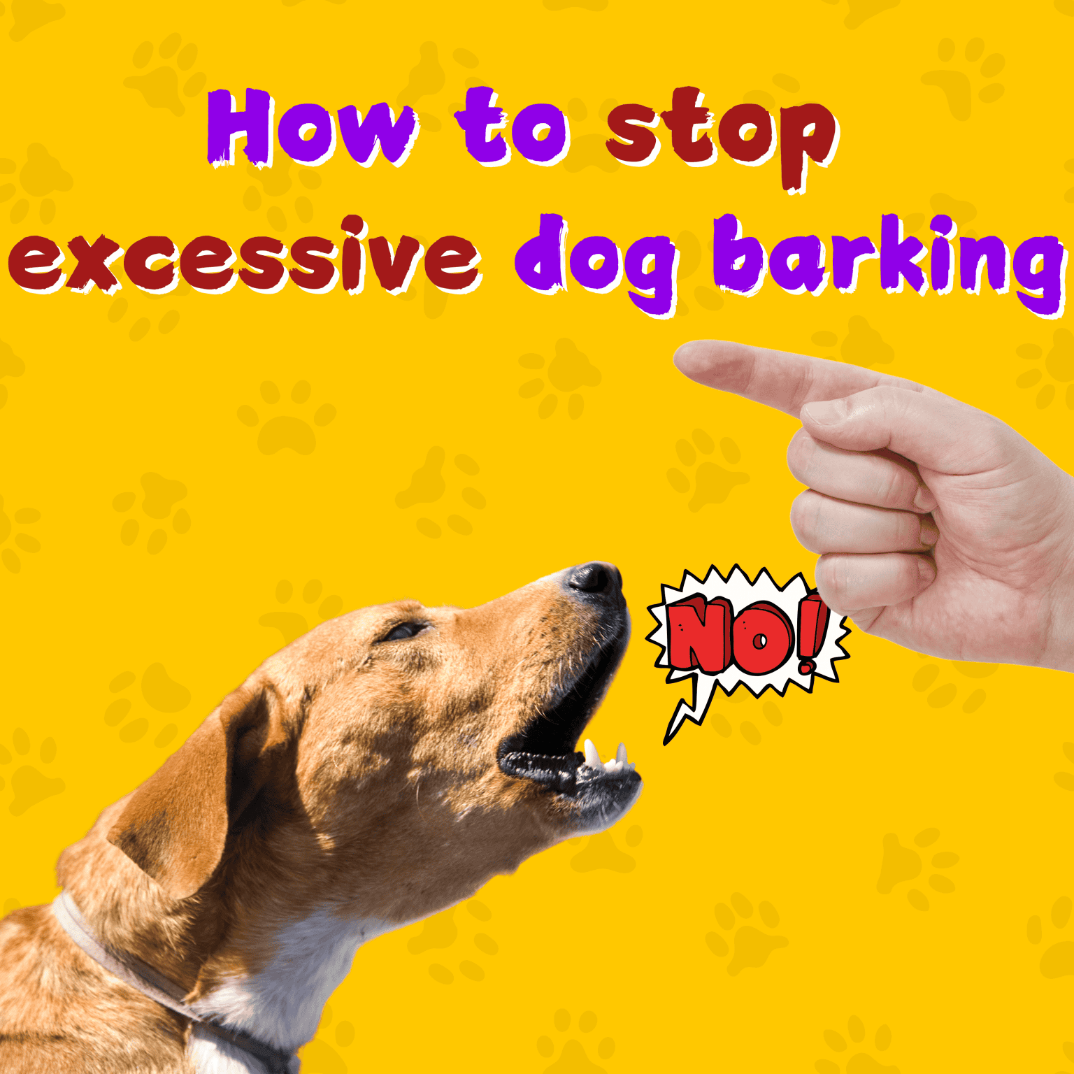 Image showcasing Stop Excessive Dog Barking - Hugsy Pets Nepal