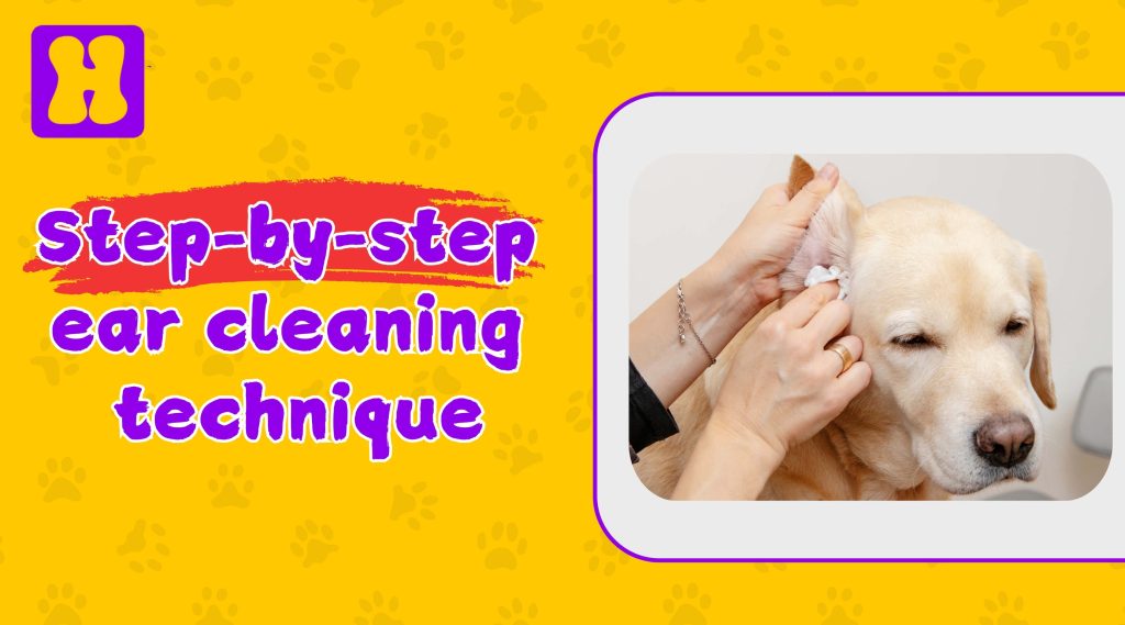 View of Effective Dog Ear Cleaning Steps - Hugsy Pets Nepal