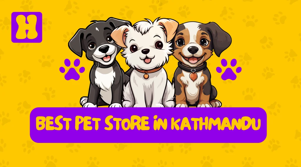 Best Pet Shop In Kathmandu