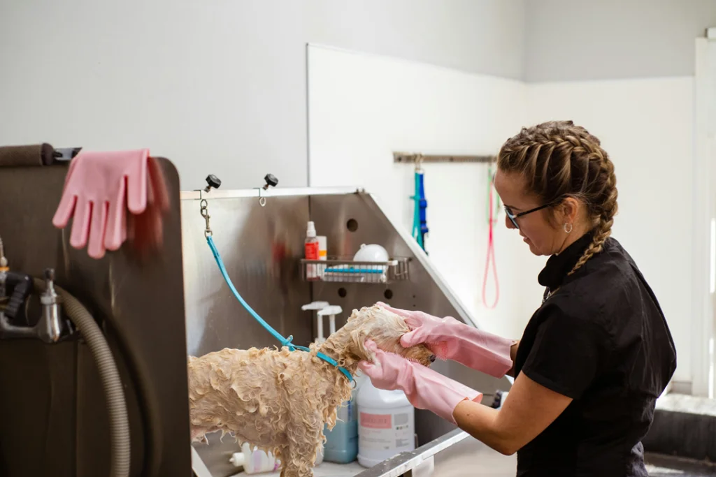dog grooming tips at home