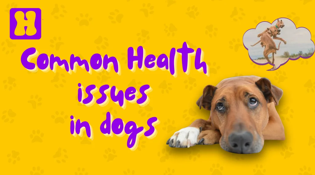 Common health issues in dogs