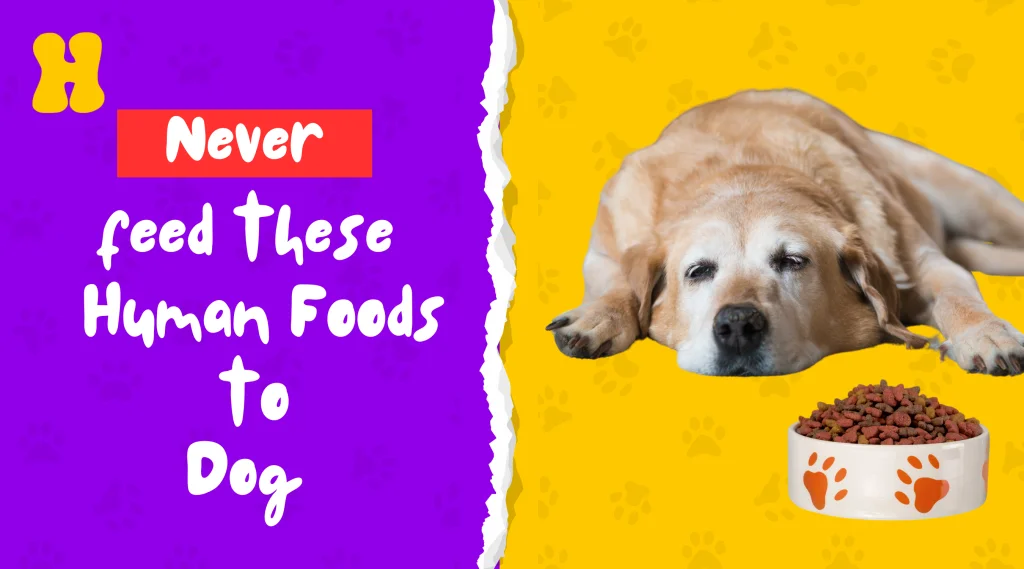 harmful foods to dogs