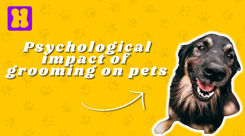 Psychological impact of grooming on pets