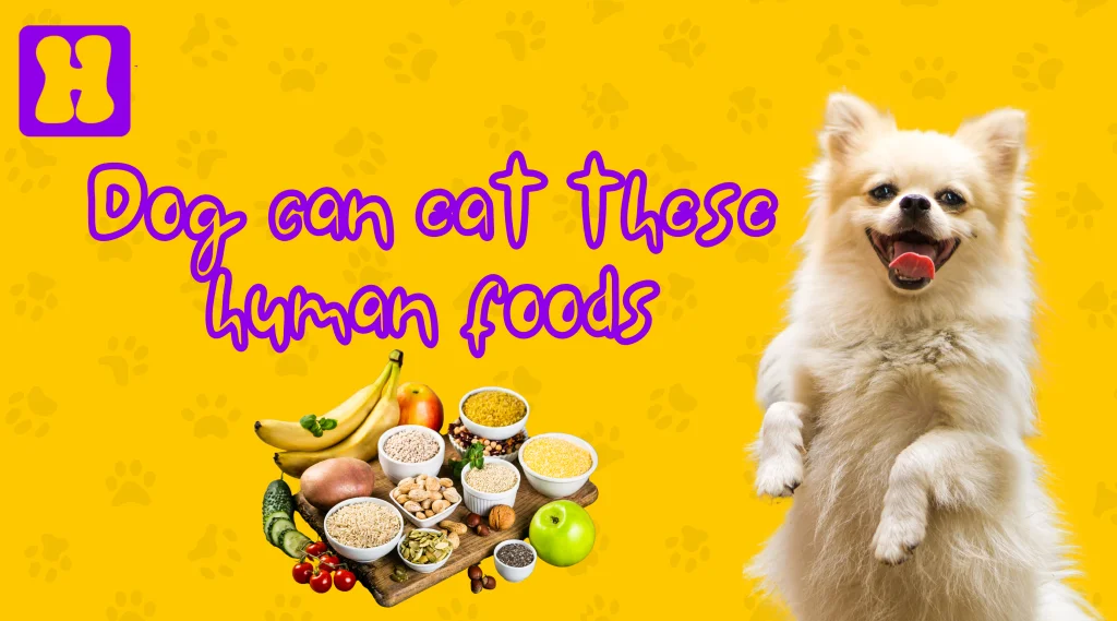 human food that can be given to dogs