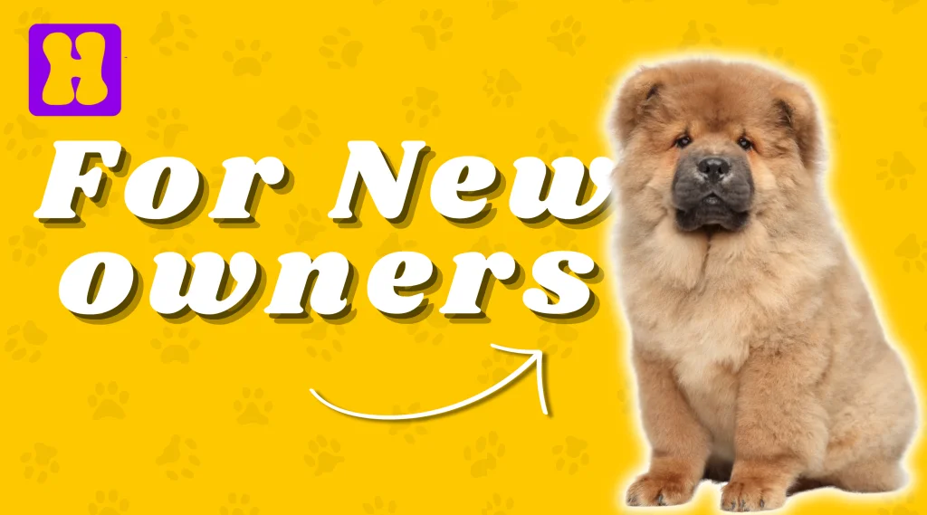 Adopting a New Dog