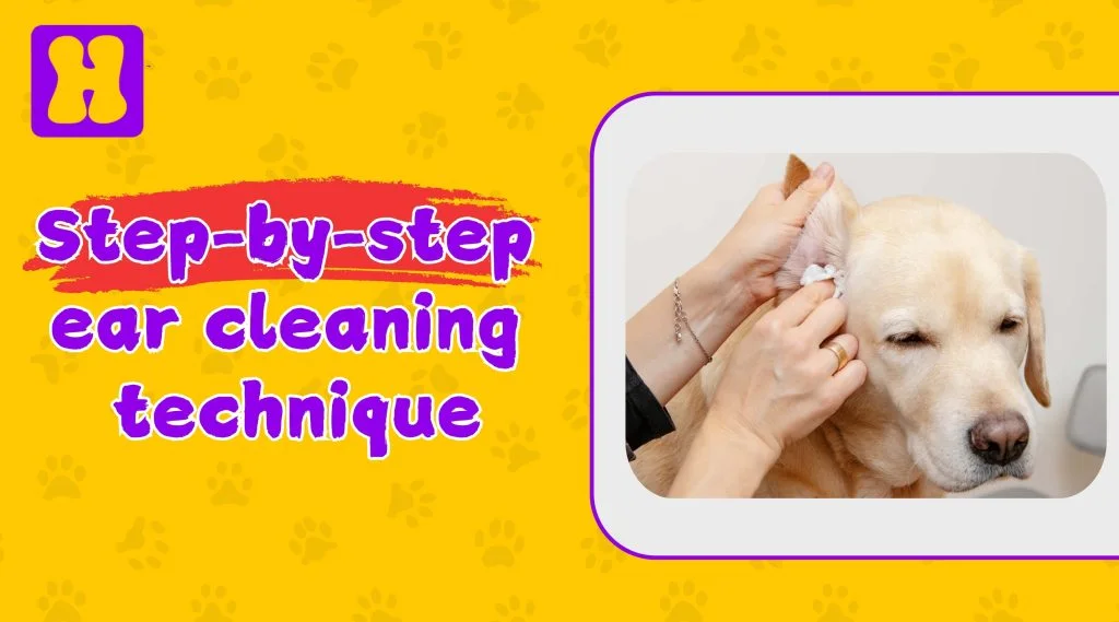 dog ear cleaning